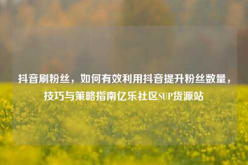 抖音刷粉丝，如何有效利用抖音提升粉丝数量，技巧与策略指南亿乐社区SUP货源站  第1张
