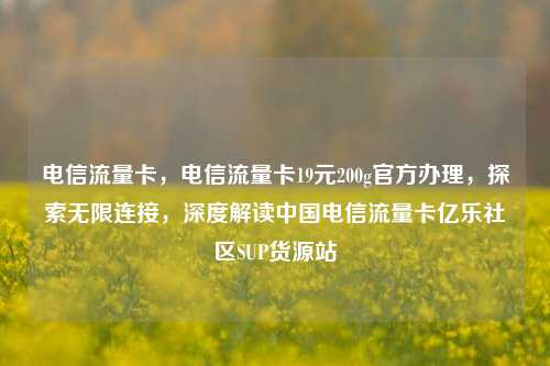 电信流量卡，电信流量卡19元200g官方办理，探索无限连接	，深度解读中国电信流量卡亿乐社区SUP货源站  第1张