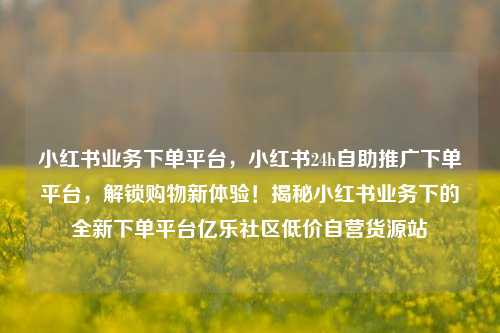小红书业务下单平台	，小红书24h自助推广下单平台，解锁购物新体验！揭秘小红书业务下的全新下单平台亿乐社区低价自营货源站  第1张