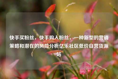 快手买粉丝，快手购入粉丝，一种新型的营销策略和潜在的风险分析亿乐社区低价自营货源站  第1张