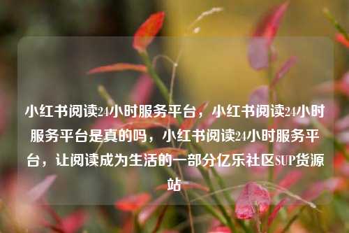 小红书阅读24小时服务平台，小红书阅读24小时服务平台是真的吗，小红书阅读24小时服务平台	，让阅读成为生活的一部分亿乐社区SUP货源站  第1张