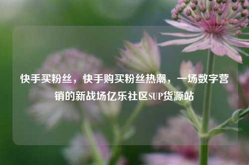 快手买粉丝，快手购买粉丝热潮，一场数字营销的新战场亿乐社区SUP货源站  第1张