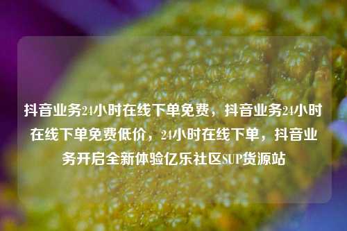 抖音业务24小时在线下单免费，抖音业务24小时在线下单免费低价，24小时在线下单	，抖音业务开启全新体验亿乐社区SUP货源站  第1张