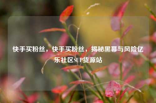 快手买粉丝，快手买粉丝，揭秘黑幕与风险亿乐社区SUP货源站  第1张