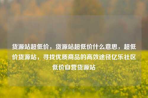 货源站超低价，货源站超低价什么意思	，超低价货源站，寻找优质商品的高效途径亿乐社区低价自营货源站  第1张