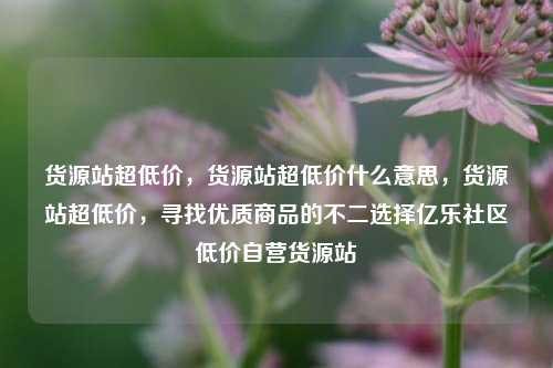 货源站超低价，货源站超低价什么意思	，货源站超低价，寻找优质商品的不二选择亿乐社区低价自营货源站  第1张
