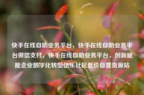 快手在线自助业务平台	，快手在线自助业务平台微信支付，快手在线自助业务平台，创新赋能企业数字化转型亿乐社区低价自营货源站  第1张