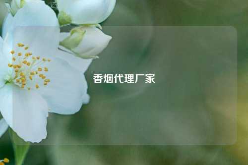 香烟代理厂家  第1张
