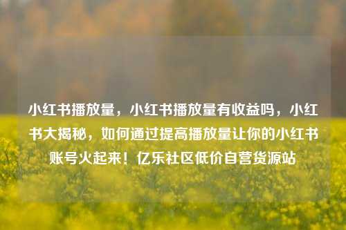小红书播放量，小红书播放量有收益吗，小红书大揭秘	，如何通过提高播放量让你的小红书账号火起来！亿乐社区低价自营货源站  第1张