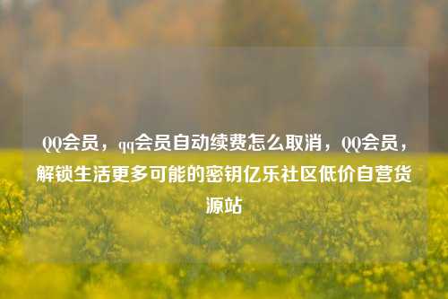 QQ会员，qq会员自动续费怎么取消	，QQ会员，解锁生活更多可能的密钥亿乐社区低价自营货源站  第1张