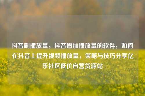 抖音刷播放量，抖音增加播放量的软件，如何在抖音上提升视频播放量	，策略与技巧分享亿乐社区低价自营货源站  第1张