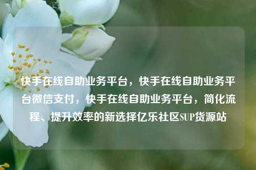 快手在线自助业务平台，快手在线自助业务平台微信支付	，快手在线自助业务平台，简化流程、提升效率的新选择亿乐社区SUP货源站  第1张