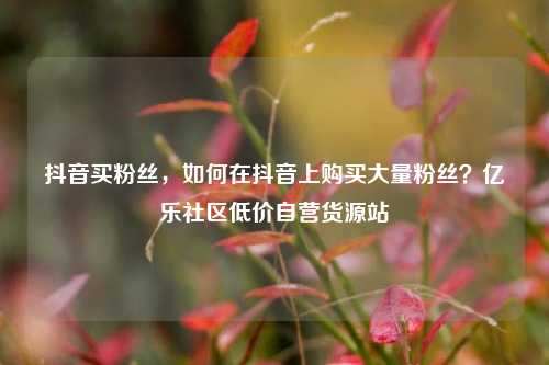 抖音买粉丝，如何在抖音上购买大量粉丝？亿乐社区低价自营货源站  第1张