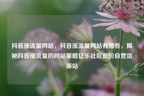 抖音涨流量网站，抖音涨流量网站有哪些	，揭秘抖音涨流量的网站策略亿乐社区低价自营货源站  第1张