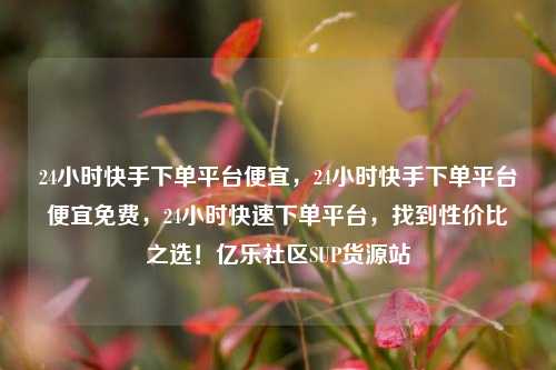 24小时快手下单平台便宜，24小时快手下单平台便宜免费	，24小时快速下单平台，找到性价比之选！亿乐社区SUP货源站  第1张