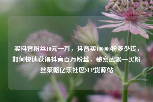 买抖音粉丝10元一万，抖音买100000粉多少钱，如何快速获得抖音百万粉丝	，秘密武器—买粉丝策略亿乐社区SUP货源站  第1张