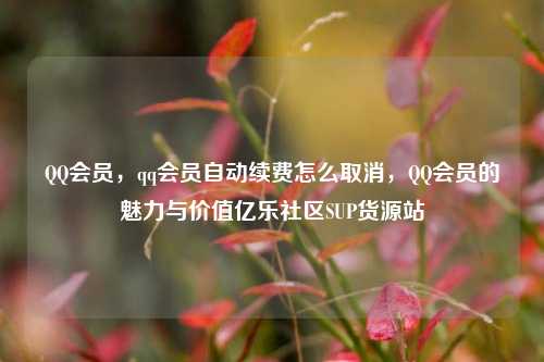 QQ会员，qq会员自动续费怎么取消	，QQ会员的魅力与价值亿乐社区SUP货源站  第1张