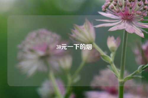30元一下的烟  第1张