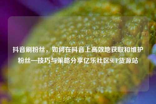 抖音刷粉丝，如何在抖音上高效地获取和维护粉丝—技巧与策略分享亿乐社区SUP货源站  第1张