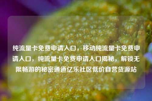 纯流量卡免费申请入口	，移动纯流量卡免费申请入口，纯流量卡免费申请入口揭秘，解锁无限畅游的秘密通道亿乐社区低价自营货源站  第1张