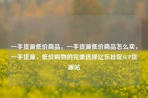 一手货源低价商品，一手货源低价商品怎么卖	，一手货源，低价购物的完美选择亿乐社区SUP货源站  第1张