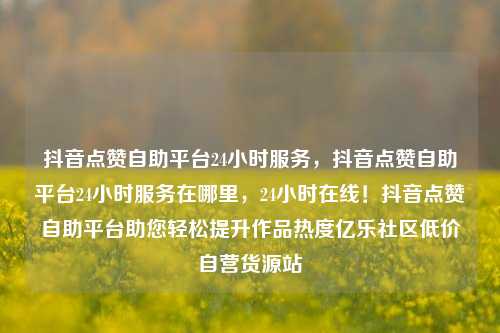 抖音点赞自助平台24小时服务，抖音点赞自助平台24小时服务在哪里，24小时在线！抖音点赞自助平台助您轻松提升作品热度亿乐社区低价自营货源站  第1张