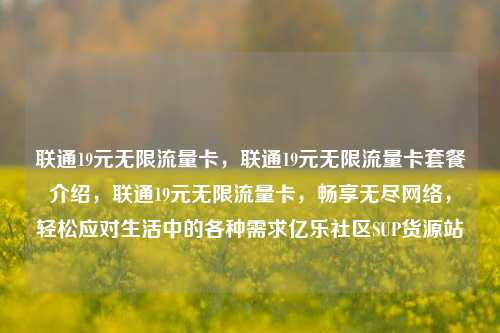 联通19元无限流量卡	，联通19元无限流量卡套餐介绍，联通19元无限流量卡，畅享无尽网络	，轻松应对生活中的各种需求亿乐社区SUP货源站  第1张
