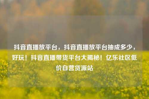 抖音直播放平台，抖音直播放平台抽成多少	，好玩！抖音直播带货平台大揭秘！亿乐社区低价自营货源站  第1张
