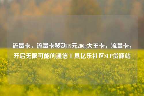 流量卡，流量卡移动19元200g大王卡	，流量卡，开启无限可能的通信工具亿乐社区SUP货源站  第1张