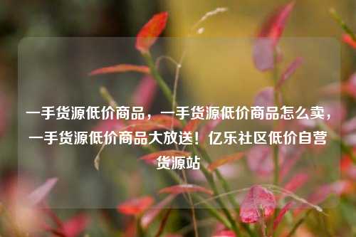 一手货源低价商品	，一手货源低价商品怎么卖，一手货源低价商品大放送！亿乐社区低价自营货源站  第1张