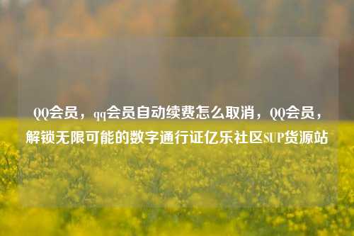 QQ会员，qq会员自动续费怎么取消，QQ会员	，解锁无限可能的数字通行证亿乐社区SUP货源站  第1张