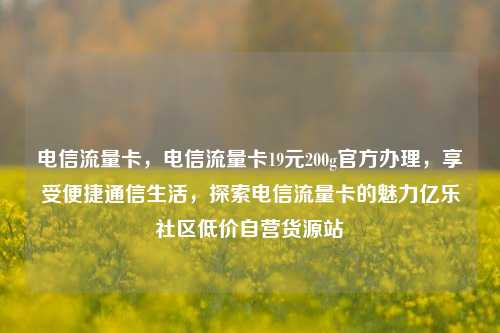 电信流量卡，电信流量卡19元200g官方办理	，享受便捷通信生活，探索电信流量卡的魅力亿乐社区低价自营货源站  第1张