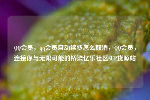 QQ会员，qq会员自动续费怎么取消	，QQ会员，连接你与无限可能的桥梁亿乐社区SUP货源站  第1张