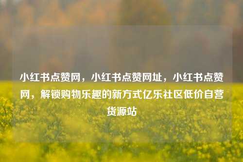 小红书点赞网，小红书点赞网址，小红书点赞网，解锁购物乐趣的新方式亿乐社区低价自营货源站  第1张