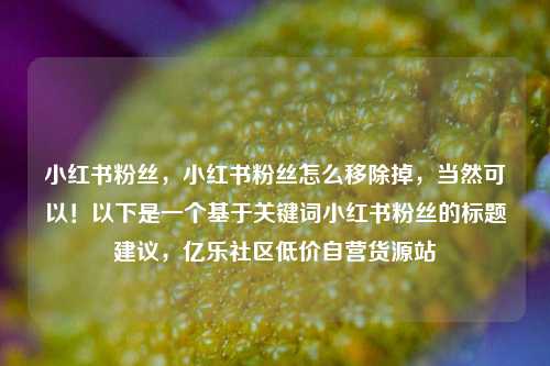 小红书粉丝，小红书粉丝怎么移除掉，当然可以！以下是一个基于关键词小红书粉丝的标题建议，亿乐社区低价自营货源站  第1张