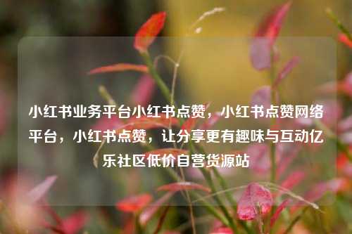 小红书业务平台小红书点赞，小红书点赞网络平台，小红书点赞	，让分享更有趣味与互动亿乐社区低价自营货源站  第1张