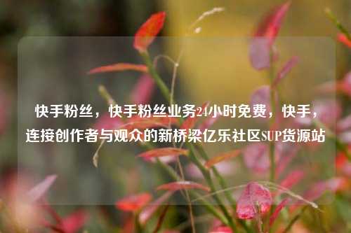 快手粉丝，快手粉丝业务24小时免费	，快手，连接创作者与观众的新桥梁亿乐社区SUP货源站  第1张