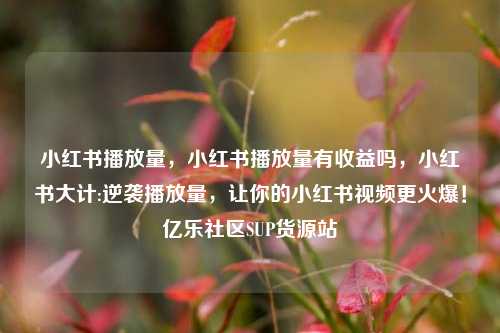 小红书播放量	，小红书播放量有收益吗，小红书大计:逆袭播放量，让你的小红书视频更火爆！亿乐社区SUP货源站  第1张
