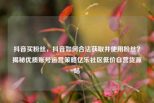 抖音买粉丝，抖音如何合法获取并使用粉丝？揭秘优质账号运营策略亿乐社区低价自营货源站  第1张