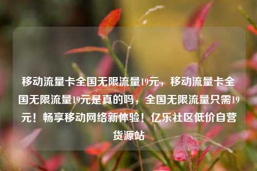 移动流量卡全国无限流量19元	，移动流量卡全国无限流量19元是真的吗，全国无限流量只需19元！畅享移动网络新体验！亿乐社区低价自营货源站  第1张