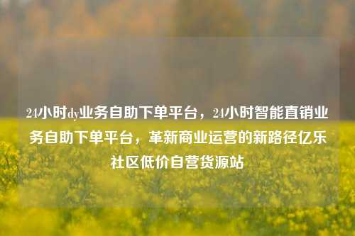 24小时dy业务自助下单平台，24小时智能直销业务自助下单平台	，革新商业运营的新路径亿乐社区低价自营货源站  第1张