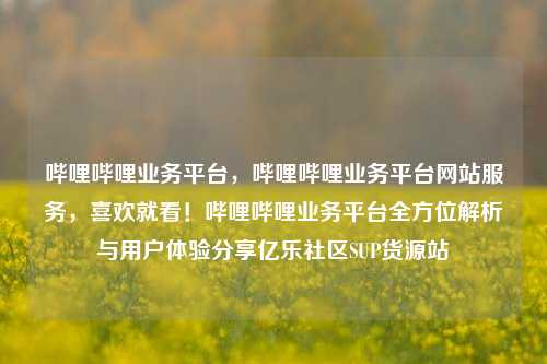 哔哩哔哩业务平台，哔哩哔哩业务平台网站服务，喜欢就看！哔哩哔哩业务平台全方位解析与用户体验分享亿乐社区SUP货源站  第1张