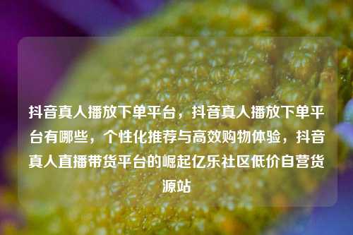 抖音真人播放下单平台，抖音真人播放下单平台有哪些，个性化推荐与高效购物体验	，抖音真人直播带货平台的崛起亿乐社区低价自营货源站  第1张