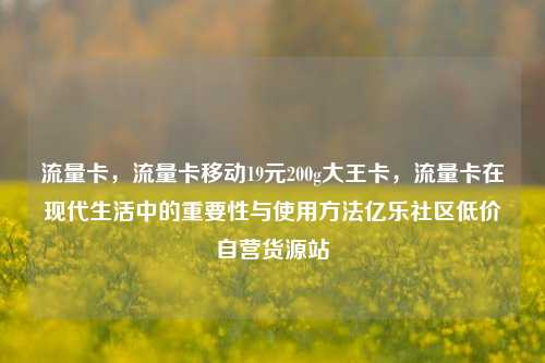 流量卡，流量卡移动19元200g大王卡	，流量卡在现代生活中的重要性与使用方法亿乐社区低价自营货源站  第1张