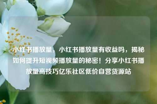小红书播放量，小红书播放量有收益吗	，揭秘如何提升短视频播放量的秘密！分享小红书播放量高技巧亿乐社区低价自营货源站  第1张