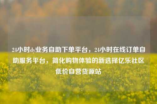 24小时dy业务自助下单平台，24小时在线订单自助服务平台	，简化购物体验的新选择亿乐社区低价自营货源站  第1张