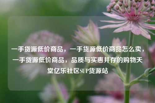 一手货源低价商品，一手货源低价商品怎么卖	，一手货源低价商品，品质与实惠并存的购物天堂亿乐社区SUP货源站  第1张