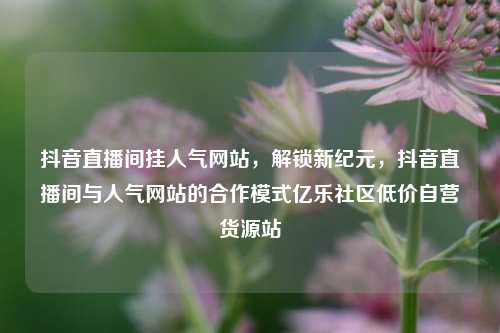 抖音直播间挂人气网站，解锁新纪元，抖音直播间与人气网站的合作模式亿乐社区低价自营货源站  第1张