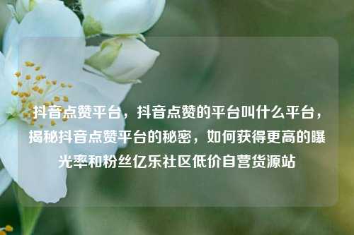 抖音点赞平台，抖音点赞的平台叫什么平台	，揭秘抖音点赞平台的秘密，如何获得更高的曝光率和粉丝亿乐社区低价自营货源站  第1张