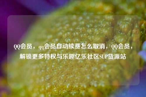 QQ会员，qq会员自动续费怎么取消，QQ会员	，解锁更多特权与乐趣亿乐社区SUP货源站  第1张